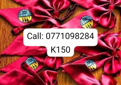 5389d2bf-72bd-4714-b3f7-9e01e21790e4