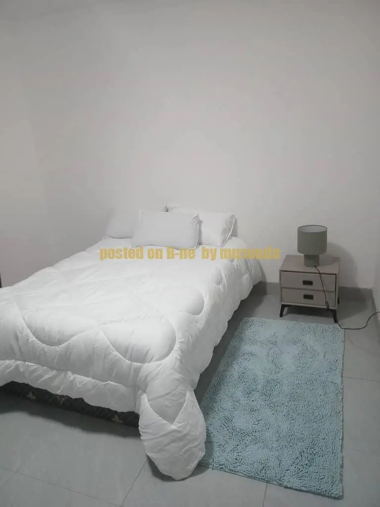 Two Bedroomed Fully Furnished Serviced Apartment