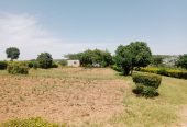 Prime Residential Plots for Sale in Foxdale, Lusaka