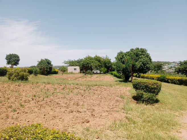 Prime Residential Plots for Sale in Foxdale, Lusaka