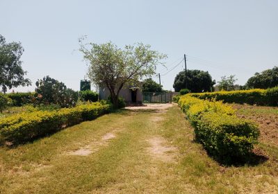 7212af86-d241-4bfc-8ff4-66a77a6212c5