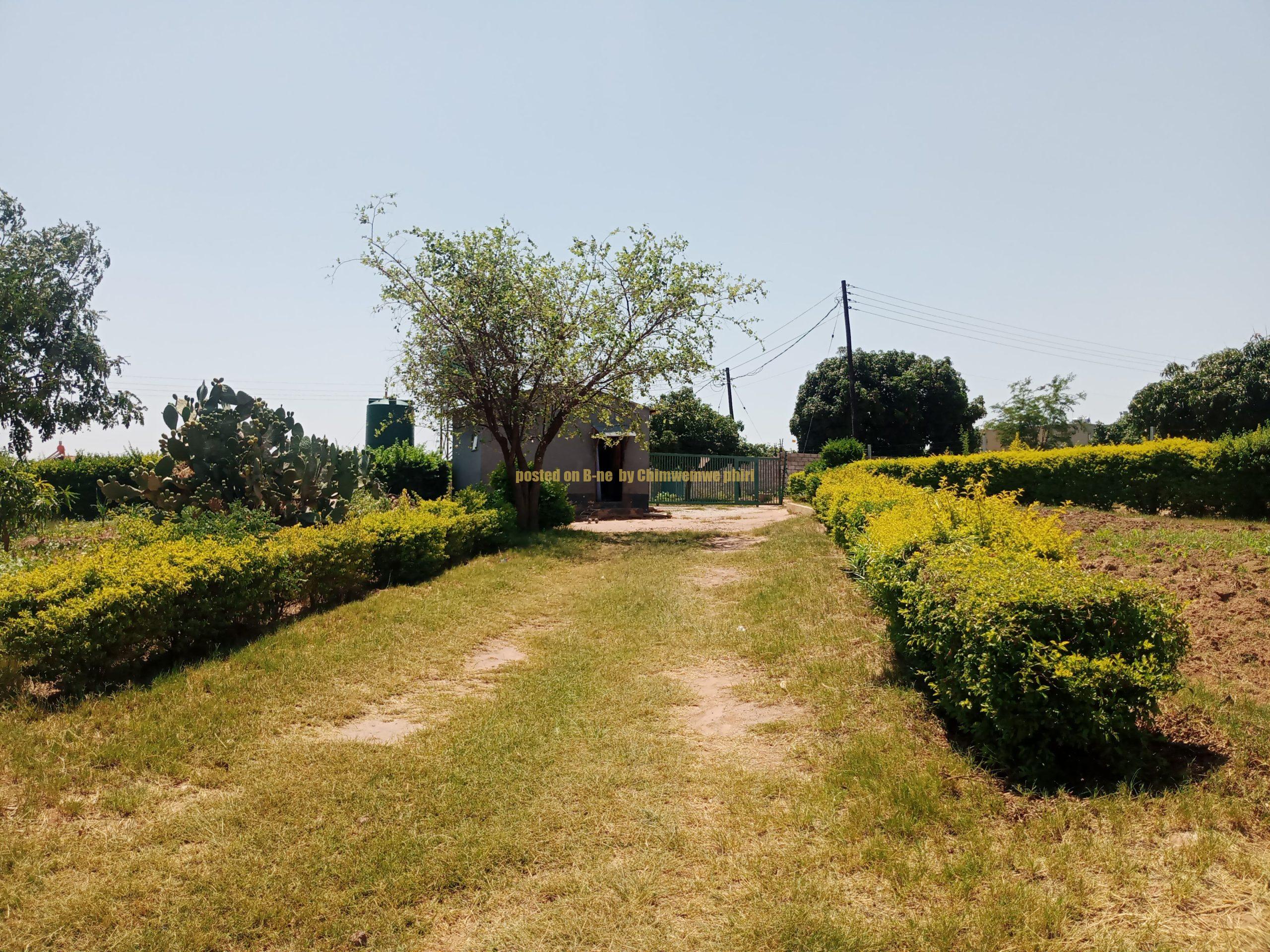 Prime Residential Plots for Sale in Foxdale, Lusaka