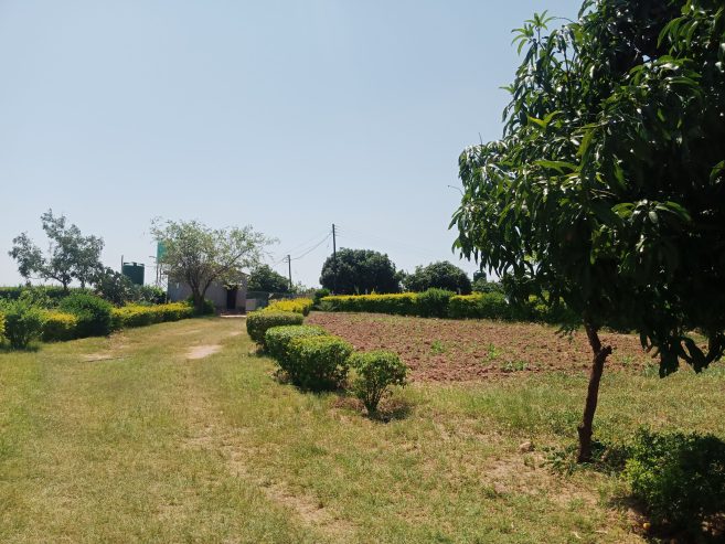 Prime Residential Plots for Sale in Foxdale, Lusaka