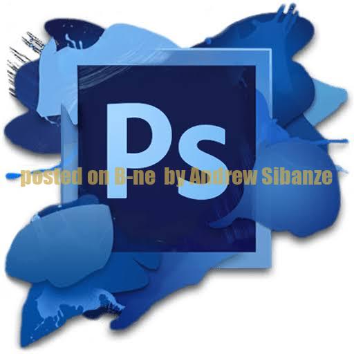 Professional Installation: Engineering, Accounting & Mining Software Specialist